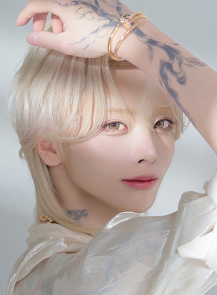 櫻井瑛紫