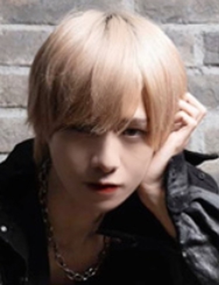 修奈